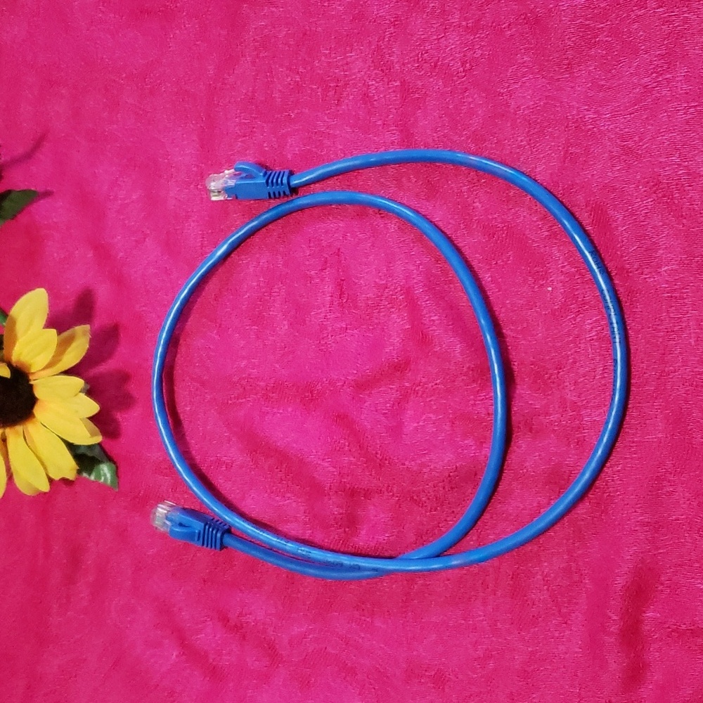 Ethernet Cable Cat 5e patch cord length 3 feet Blue "E"